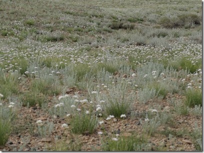 Camp Baya-Airfuetc005