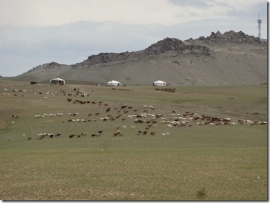 Camp Baya-Airfuetc070