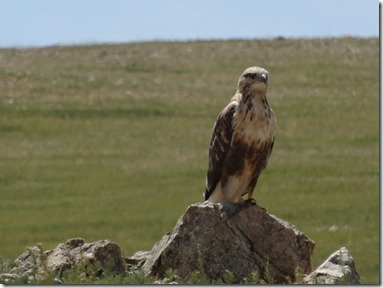 Camp Baya-Airfuetc085