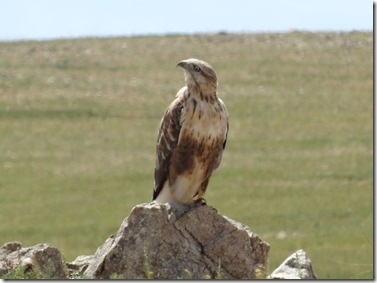 Camp Baya-Airfuetc086