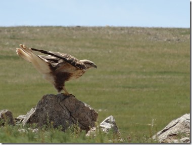 Camp Baya-Airfuetc087