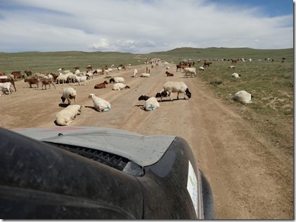 Camp Baya-Airfuetc092