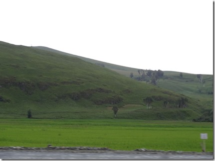 Novosibirsk-Altai025