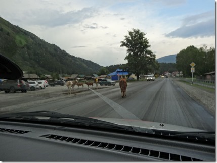 Novosibirsk-Altai042