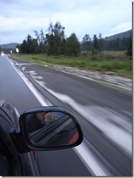 Novosibirsk-Altai066