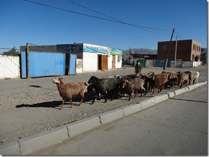 Ulgi-Camp Khovd021