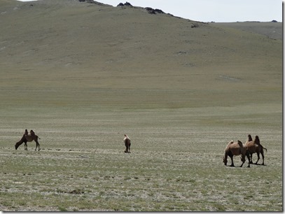 Ulgi-Camp Khovd100